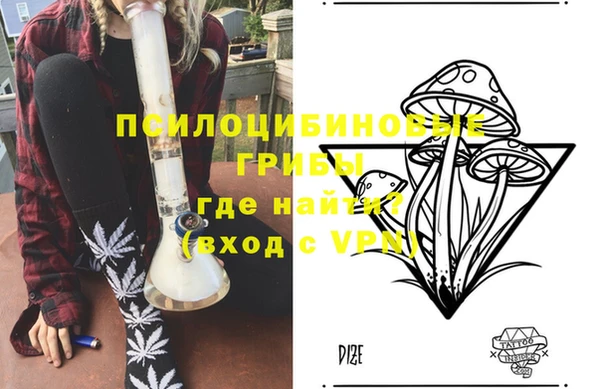 герыч Няндома
