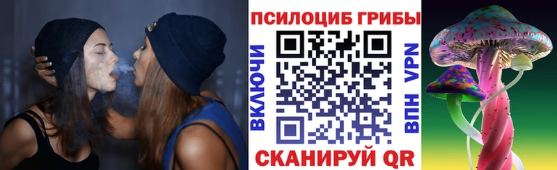 купить  цена  Осинники  Галлюциногенные грибы Cubensis 