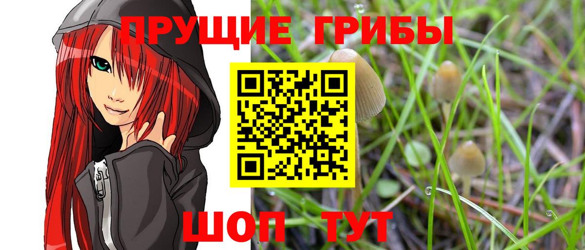 Осинники  Галлюциногенные грибы Magic Shrooms  Вход с VPN 