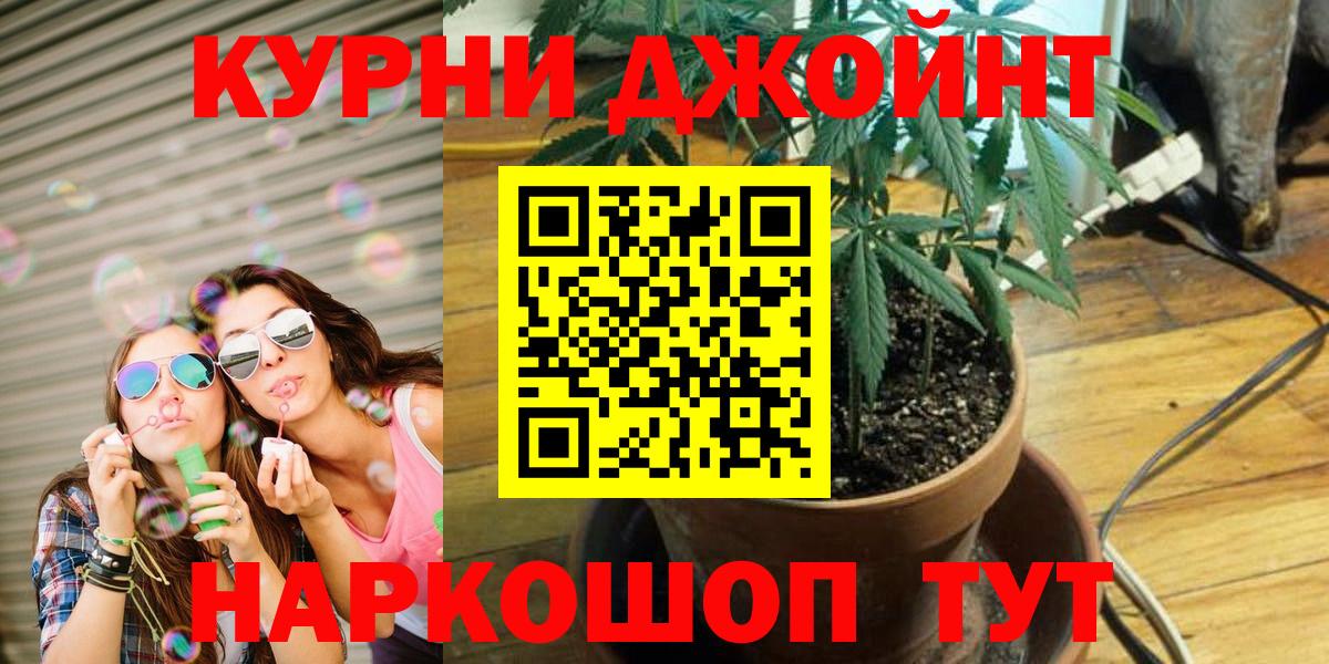 Конопля семена  Вход с VPN  Канабис Bruce Banner  Шишки марихуана сатива  Осинники 